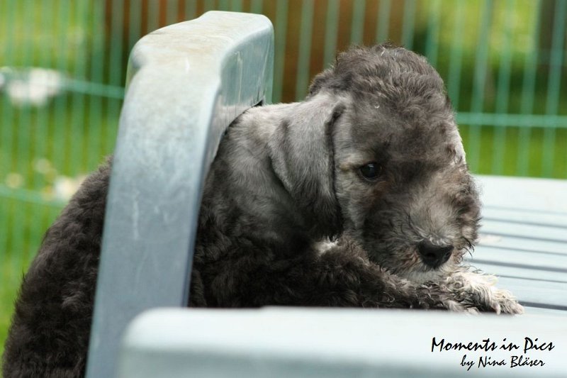 Antares 2009-07-12 (52).JPG